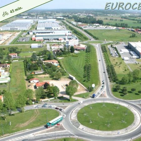 Le Cosy Eurocentre ► Terrasse ► Parking ► Wifi ► 24/24 Apartman Castelnau-dʼEstrétefonds Kültér fotó